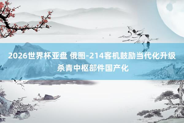 2026世界杯亚盘 俄图-214客机鼓励当代化升级 杀青中枢部件国产化