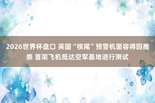 2026世界杯盘口 英国“楔尾”预警机面容得回推崇 首架飞机抵达空军基地进行测试