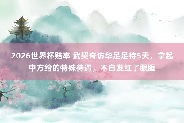 2026世界杯赔率 武契奇访华足足待5天，拿起中方给的特殊待遇，不自发红了眼眶