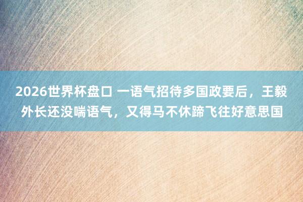 2026世界杯盘口 一语气招待多国政要后，王毅外长还没喘语气，又得马不休蹄飞往好意思国
