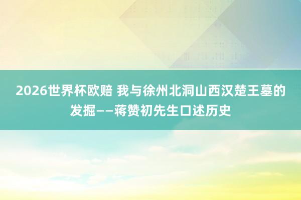 2026世界杯欧赔 我与徐州北洞山西汉楚王墓的发掘——蒋赞初先生口述历史