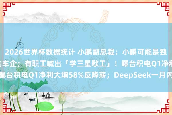 2026世界杯数据统计 小鹏副总裁：小鹏可能是独一迎接特斯拉FSD入华的车企；有职工喊出「学三星歇工」！曝台积电Q1净利大增58%反降薪；DeepSeek一月内宕机三次