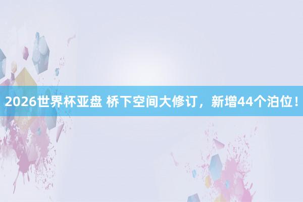 2026世界杯亚盘 桥下空间大修订，新增44个泊位！