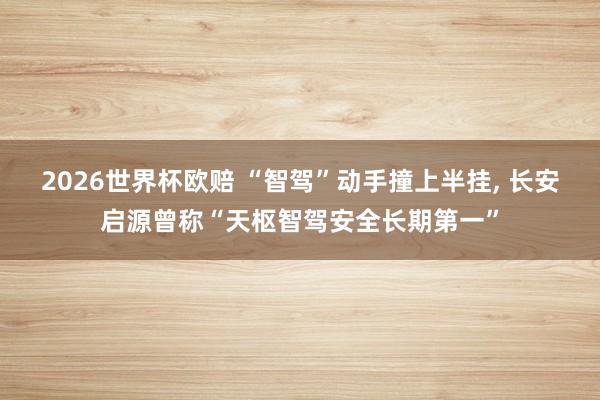 2026世界杯欧赔 “智驾”动手撞上半挂， 长安启源曾称“天枢智驾安全长期第一”