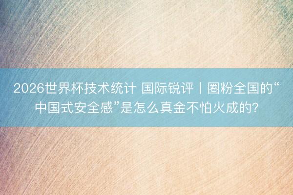2026世界杯技术统计 国际锐评丨圈粉全国的“中国式安全感”是怎么真金不怕火成的？