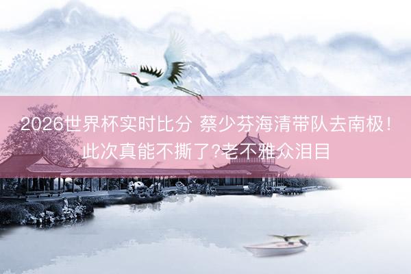 2026世界杯实时比分 蔡少芬海清带队去南极！此次真能不撕了?老不雅众泪目